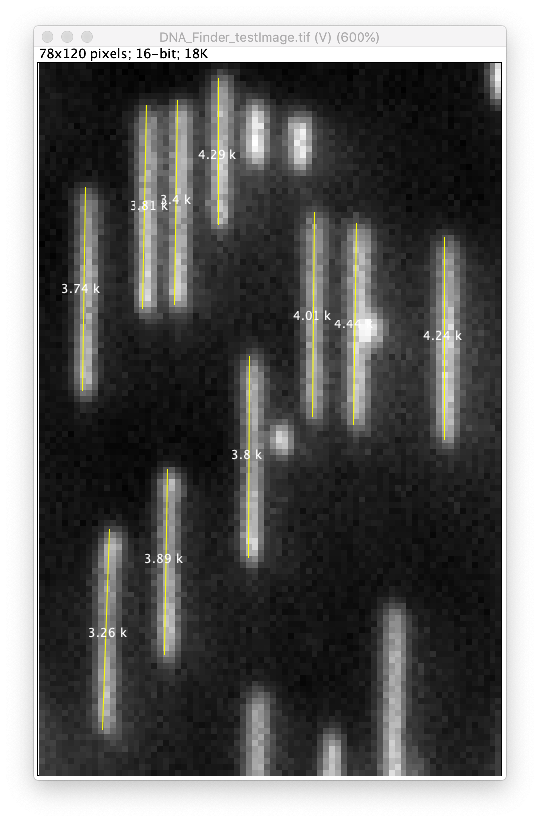 DNA finder | Mars